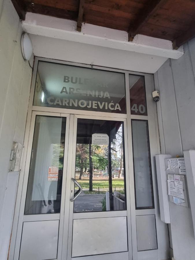 Apartamento Hawaii- 2 Bdr, Arena, Sava Centar, Free Parking Belgrado Exterior foto